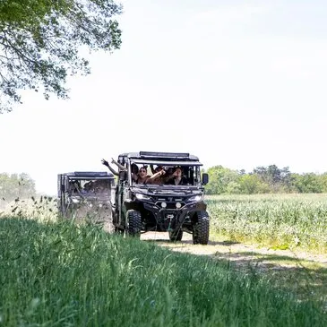 Randonnée en Buggy près de Versailles