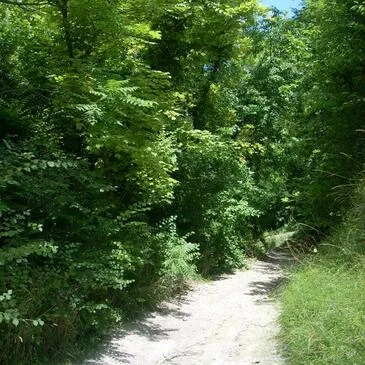 Randonnée en Buggy près de Pacy-sur-Eure