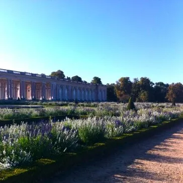 Randonnée en Trottinette Électrique à Versailles