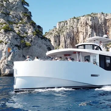 Sortie en Mer à la rencontre des Dauphins et Baleines à Bandol