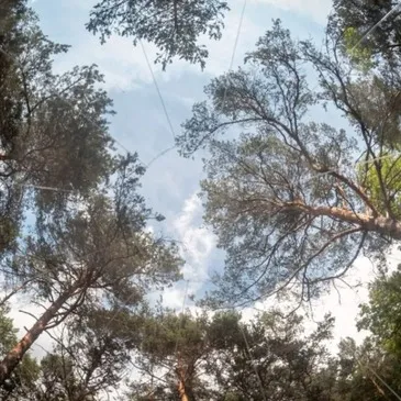 Nuit en Bulle près de Digne-les-Bains