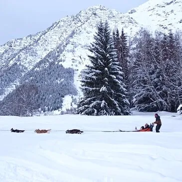 Randonnée en Chiens de Traîneau à Hautacam