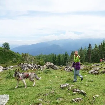 Balade en Cani-Rando au Val d'Azun