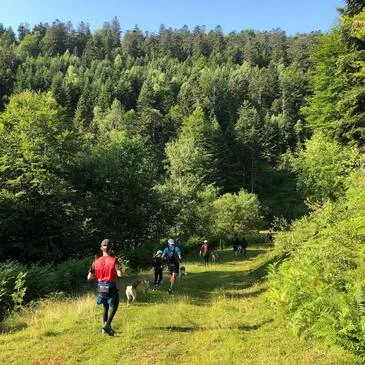 Balade en Cani-Rando au Val d'Azun