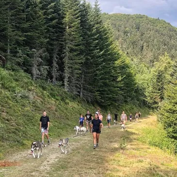Balade en Cani-Rando au Val d'Azun