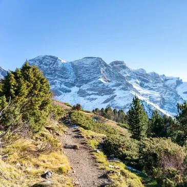 Balade en Cani-Rando au Val d'Azun