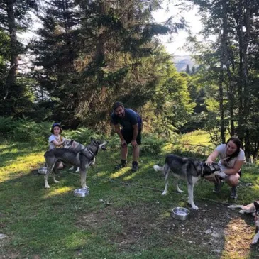 Balade en Cani-Rando au Val d'Azun