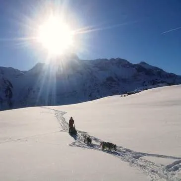Randonnée en Chiens de Traîneau à Mont-Saxonnex