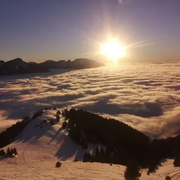 Randonnée en Chiens de Traîneau à Mont-Saxonnex