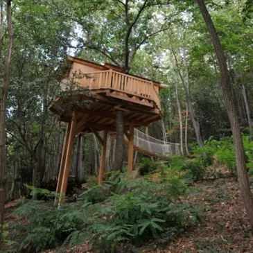 Nuit en Cabane dans les Arbres près de Lyon