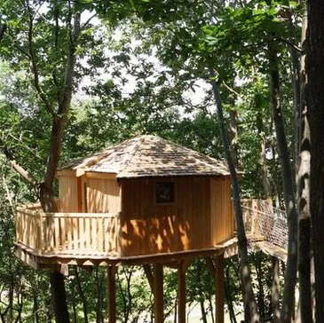 Nuit en Cabane dans les Arbres près de Lyon