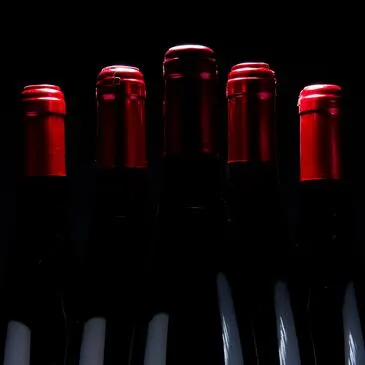 Initiation à l'Œnologie et Visite de Cave à la Roche-sur-Yon