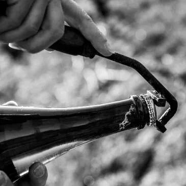 Atelier Dégustation et Fabrication de Champagne près de Reims