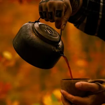 Stage de Survie près de Montargis