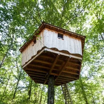 Cabane dans les Arbres près de Saint-Marcellin