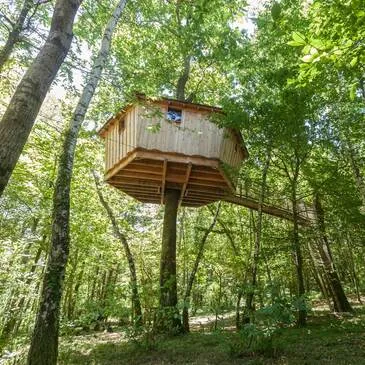 Cabane dans les Arbres près de Saint-Marcellin