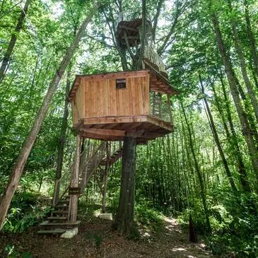 Cabane dans les Arbres près de Saint-Marcellin