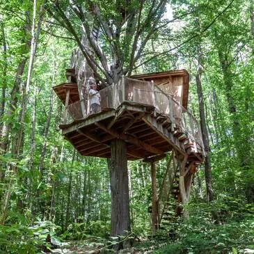 Cabane dans les Arbres près de Saint-Marcellin