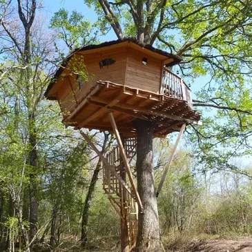 Cabane dans les Arbres près de Châteauroux