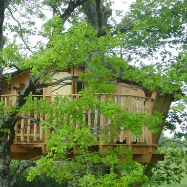 Cabane dans les Arbres près de Châteauroux