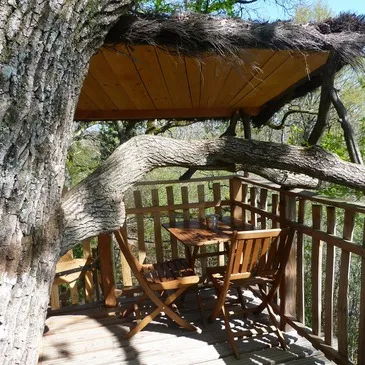 Cabane dans les Arbres près de Châteauroux