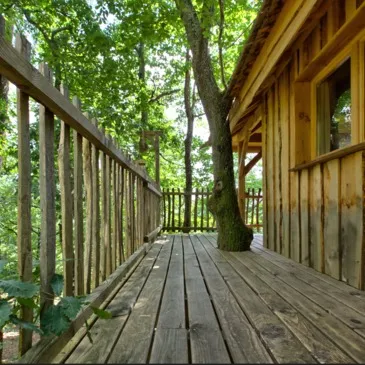 Nuit en Cabane Perchée près de Bordeaux