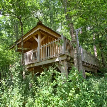 Nuit en Cabane Perchée près de Bordeaux