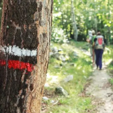 Nuit Insolite en Cabane près de Carcassonne