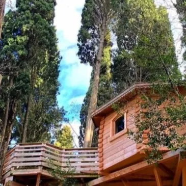 Nuit Insolite en Cabane près de Carcassonne