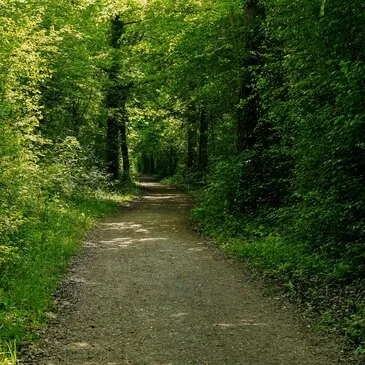 Randonnée en Buggy près de Dreux