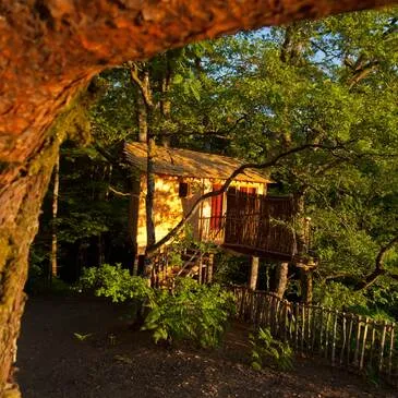 Cabane sur Pilotis près de Tulle