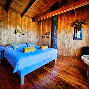 Cabane sur Pilotis près de Tulle