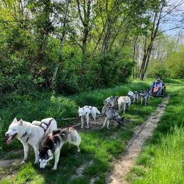 Randonnée en Cani-Kart près de Valence