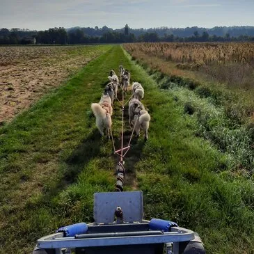 Randonnée en Cani-Kart près de Valence