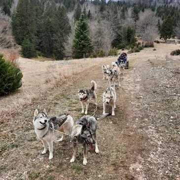 Randonnée en Cani-Kart près de Valence