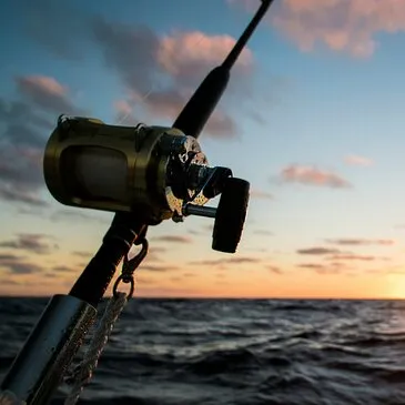 Pêche Sportive à Antibes - Port de Golfe-Juan