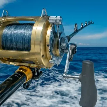 Pêche Sportive à Antibes - Port de Golfe-Juan