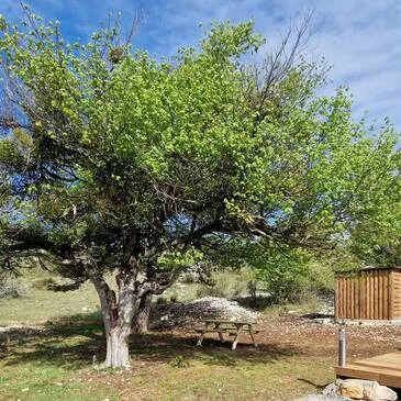 Nuit en Dôme avec Jaccuzi Privatif près de Nice