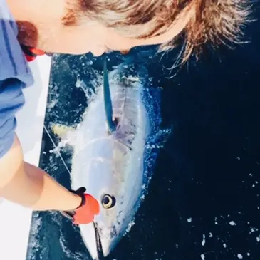 Pêche au Gros près de Carry-le-Rouet