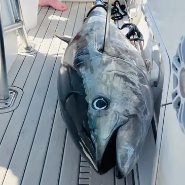 Pêche au Gros près de Carry-le-Rouet