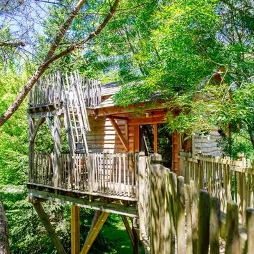 Cabane dans les Arbres près de Langon