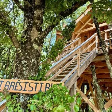 Cabane dans les Arbres avec Spa à Berat