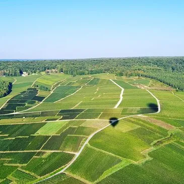 Vol en Montgolfière à Epernay - Parc de la Montagne de Reims