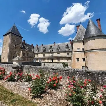 Vol en Montgolfière au Château de Fléville