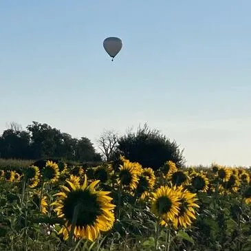 Vol en Montgolfière à Nuits-Saint-Georges