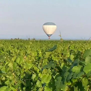 Vol en Montgolfière à Nuits-Saint-Georges