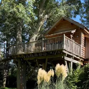Nuit en Cabane dans les Arbres avec Jacuzzi près d'Étampes
