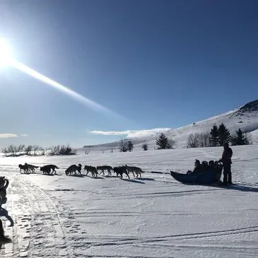Balade en Chiens de Traîneau près de Clermont-Ferrand