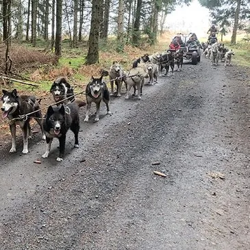 Balade en Cani-Kart près de Clermont-Ferrand
