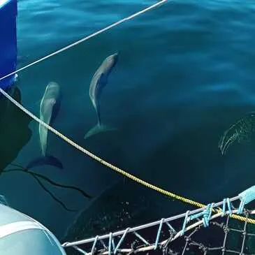 Journée en Catamaran de Course à Névez - Ile de Groix / Glénan
